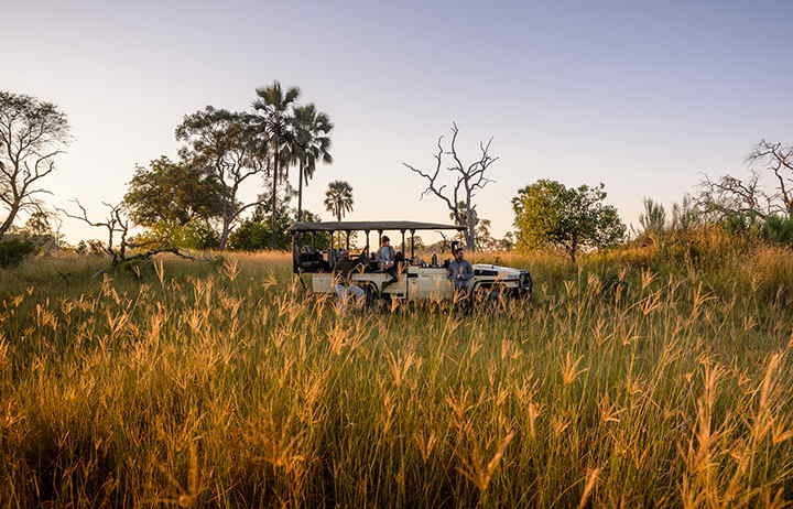 botswana-game-drive