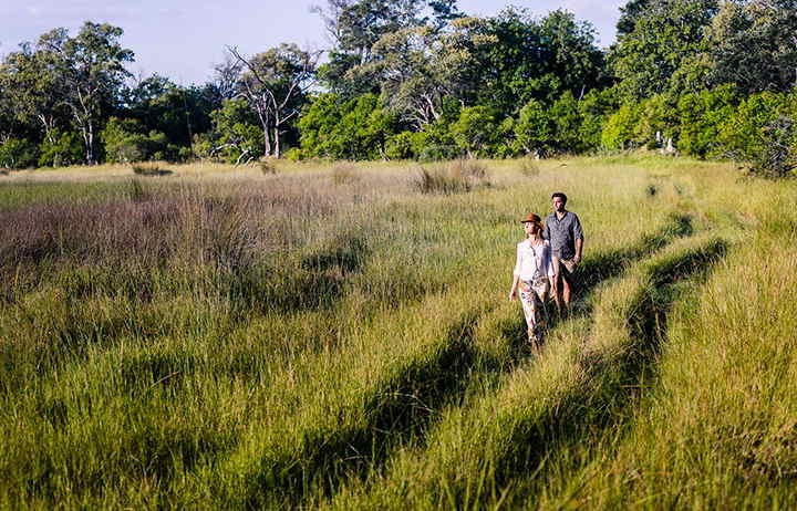 -walking-safari
