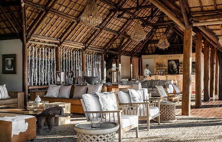 safari-chic