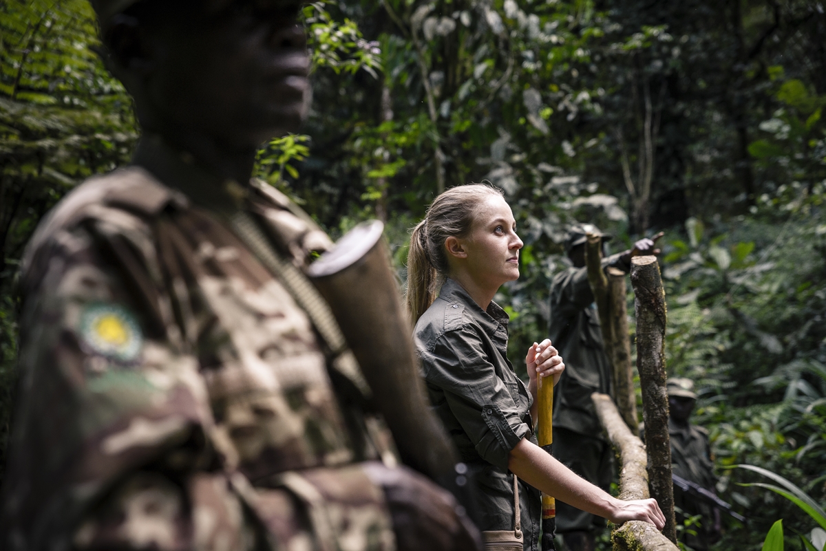 Gorilla Forest Camp