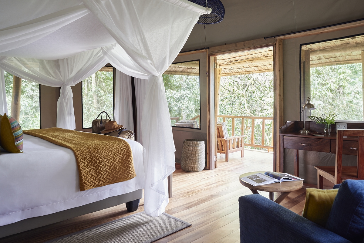 Gorilla Forest Camp