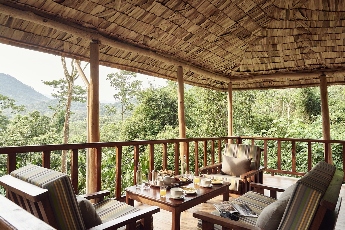 Gorilla Forest Camp
