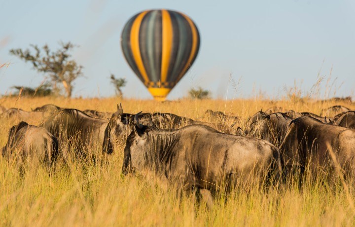 Swala Camp